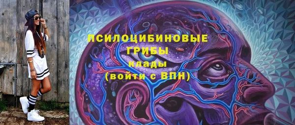 мяу мяу мука Инсар