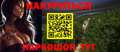 крисы Партизанск