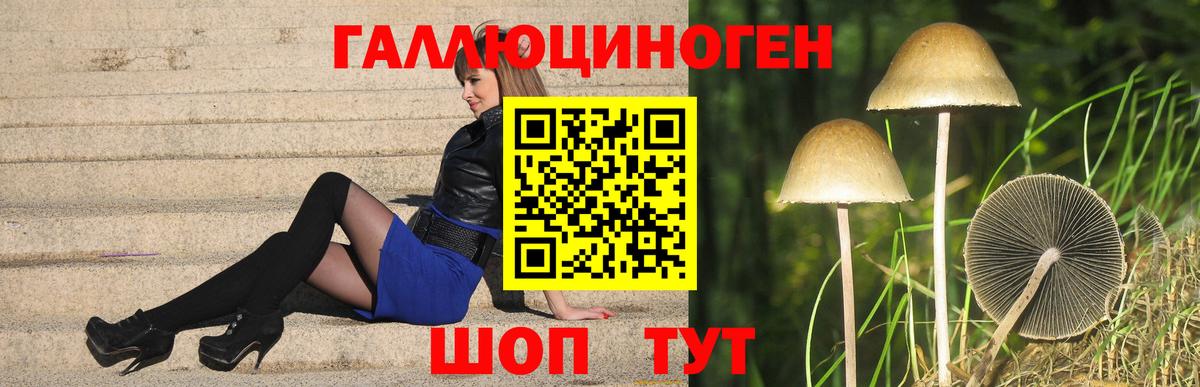 Псилоцибиновые грибы Cubensis Валуйки
